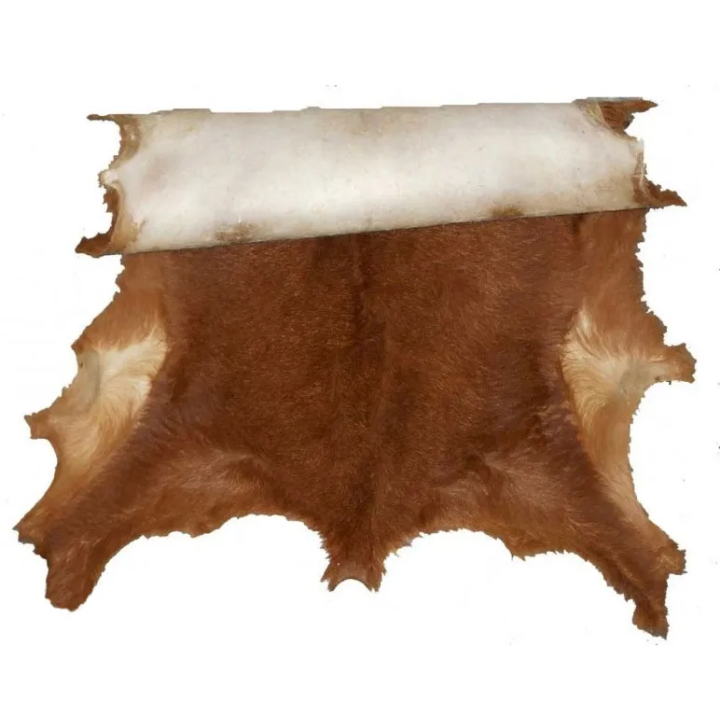 Goat skin with hair for drums