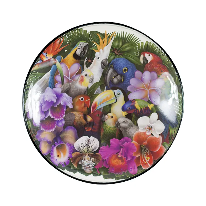 Parche 22" Remo con dibujos variados