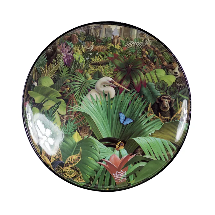 Patch Remo de 22" com vários desenhos