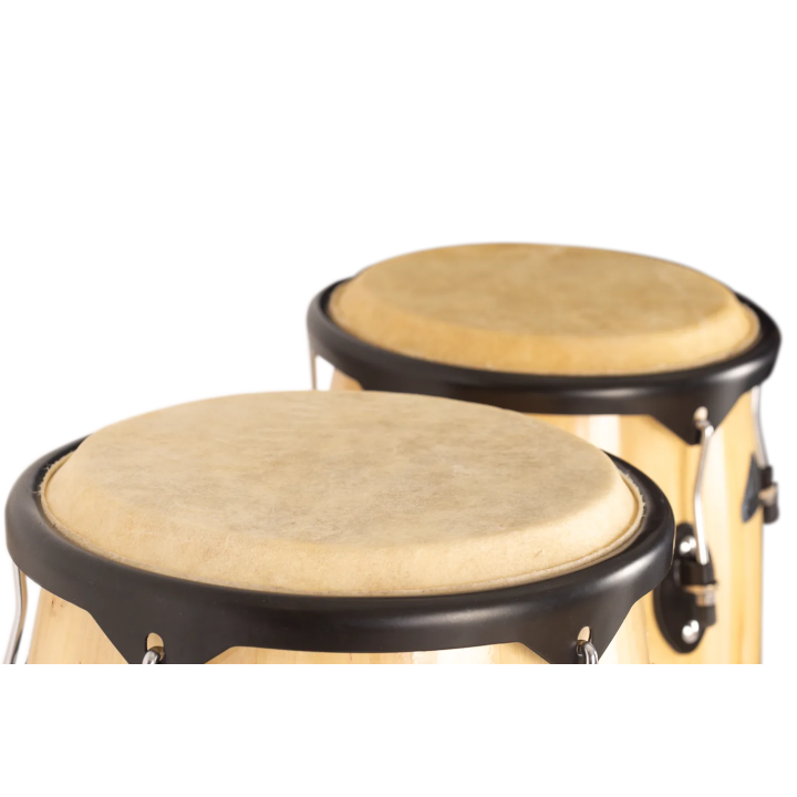 Jinbao Congas 10" und 11" JBSH2 Ahorn natur mit Ständer