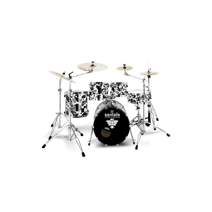 Timpano evoluzione 15x13" ref.se0370