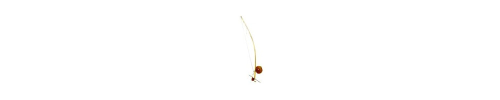 Venta de Berimbau de Capoeira al mejor precio. Envío rápido